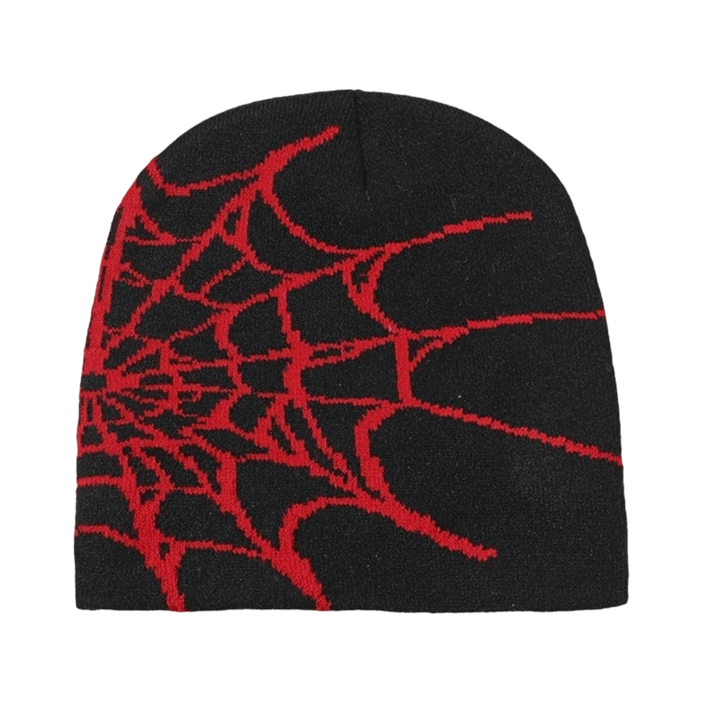 Y2K Soft Spider Web Pattern Be - đánh giá và giá Beanie Cuffed Knit